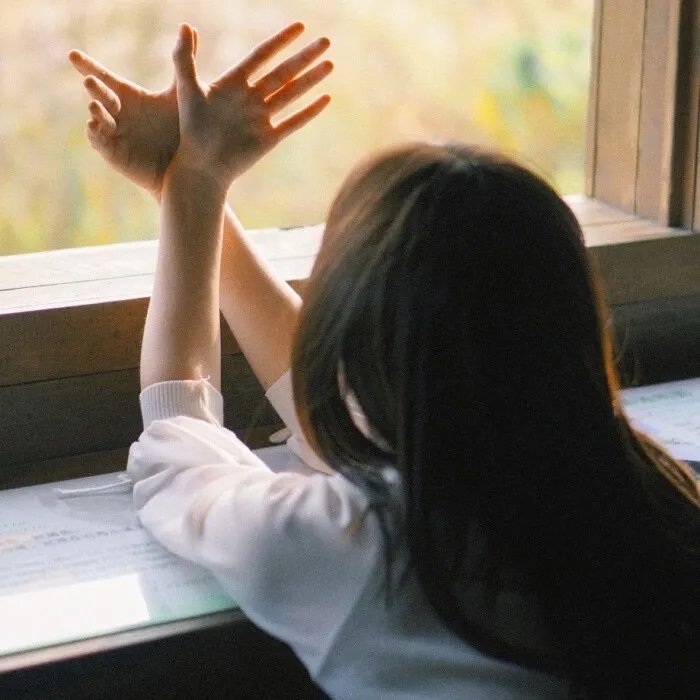 洗冤录之西夏铁棺